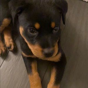 Meet your Posher, Sandra